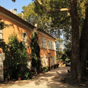 Photo 2 - 18th century Provençal farmhouse with chapel and vineyards - Le domaine